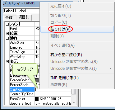プロパティウィンドウの Caption 内に貼り付け